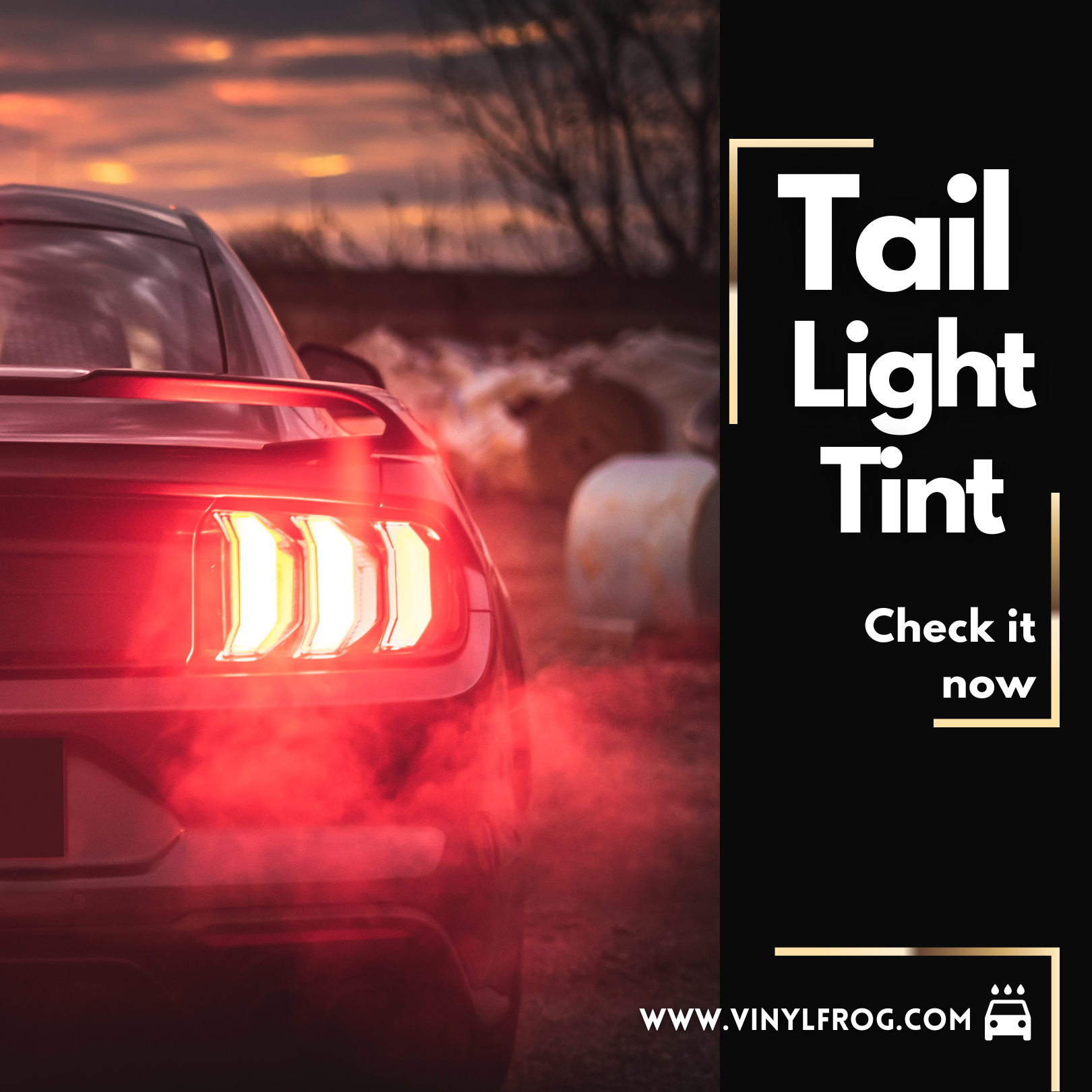 Tail Light Tint