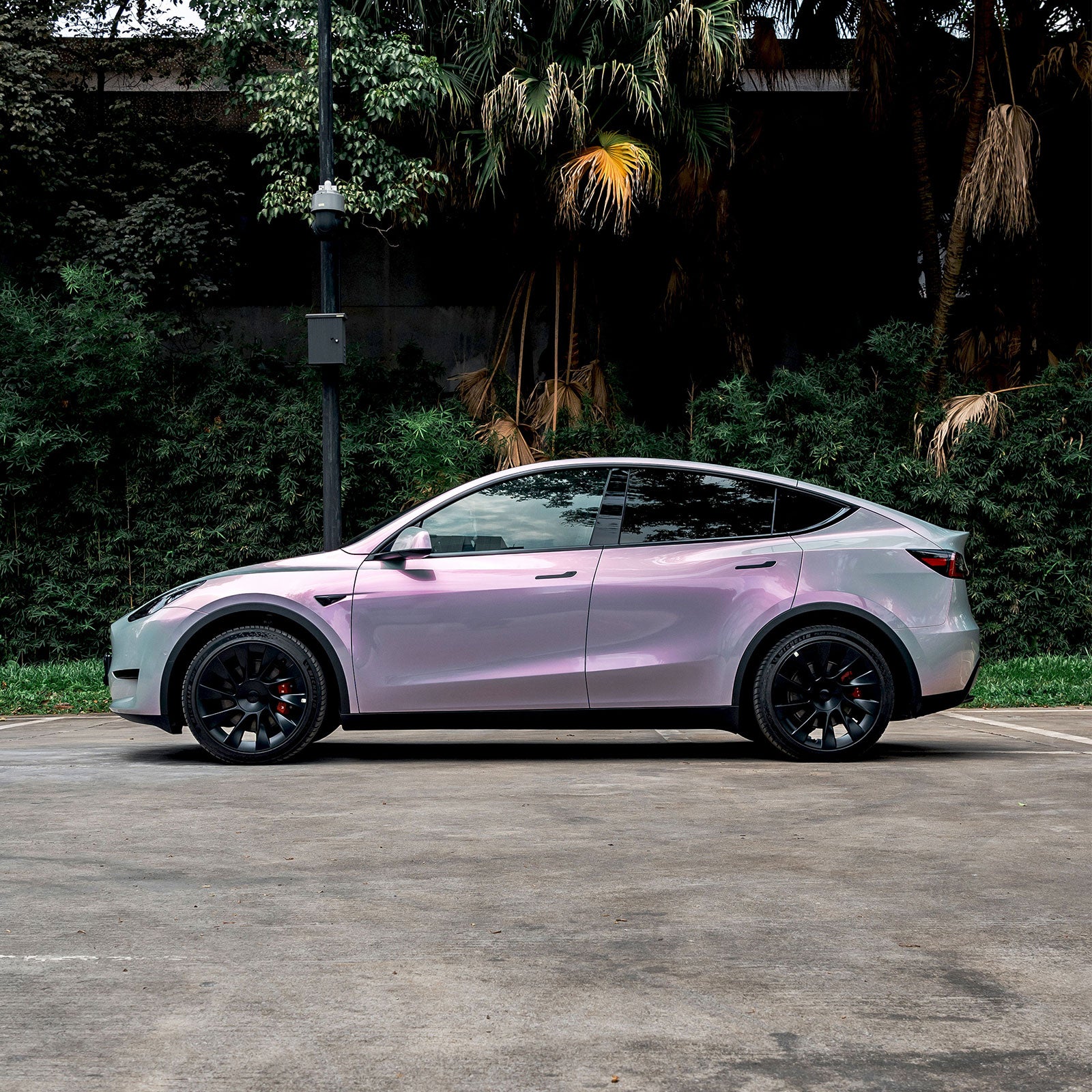 Candy Metallic Gray Pink Color PPF (Paint Protection Film)