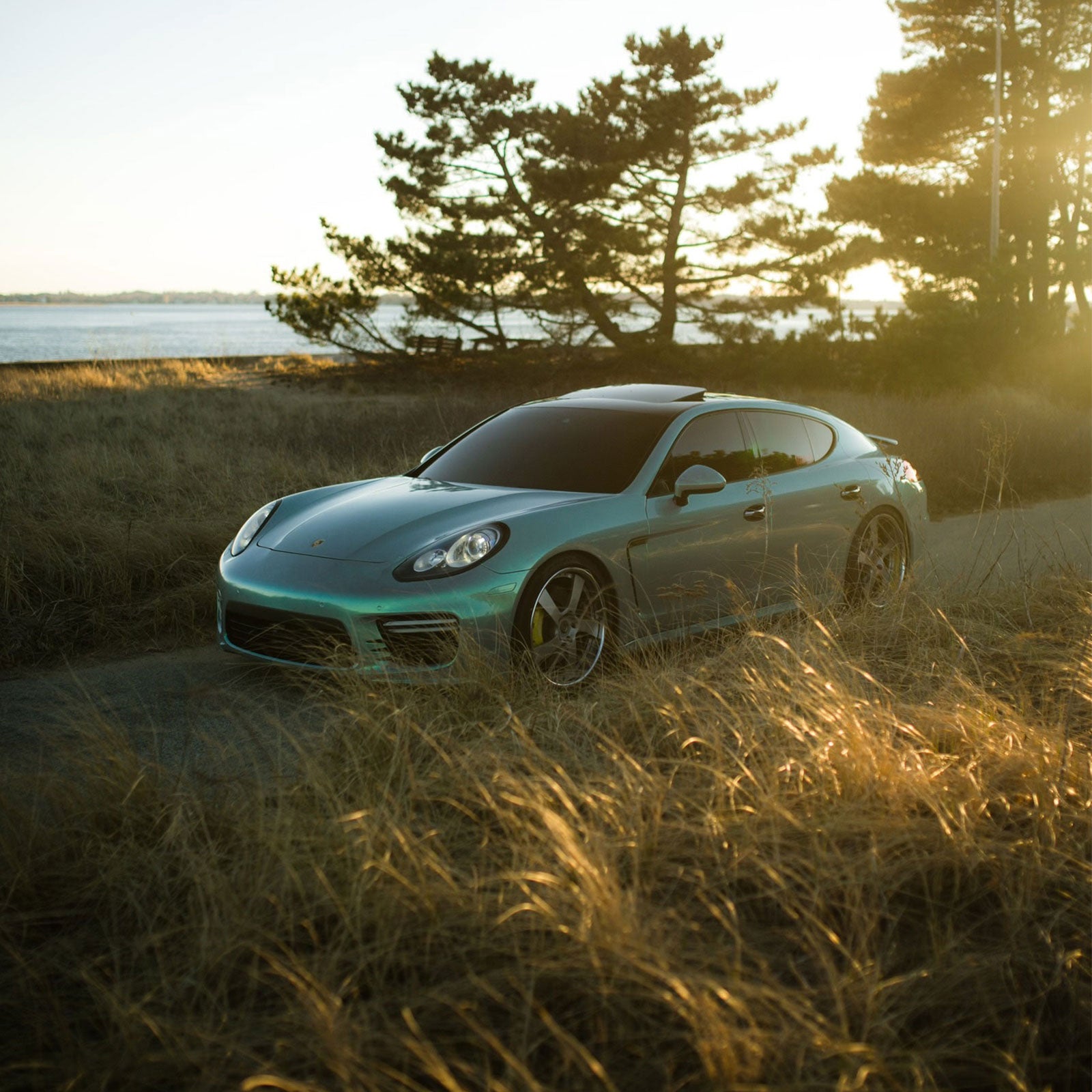 Candy Metallic Magic Gray Green Color PPF (Paint Protection Film)