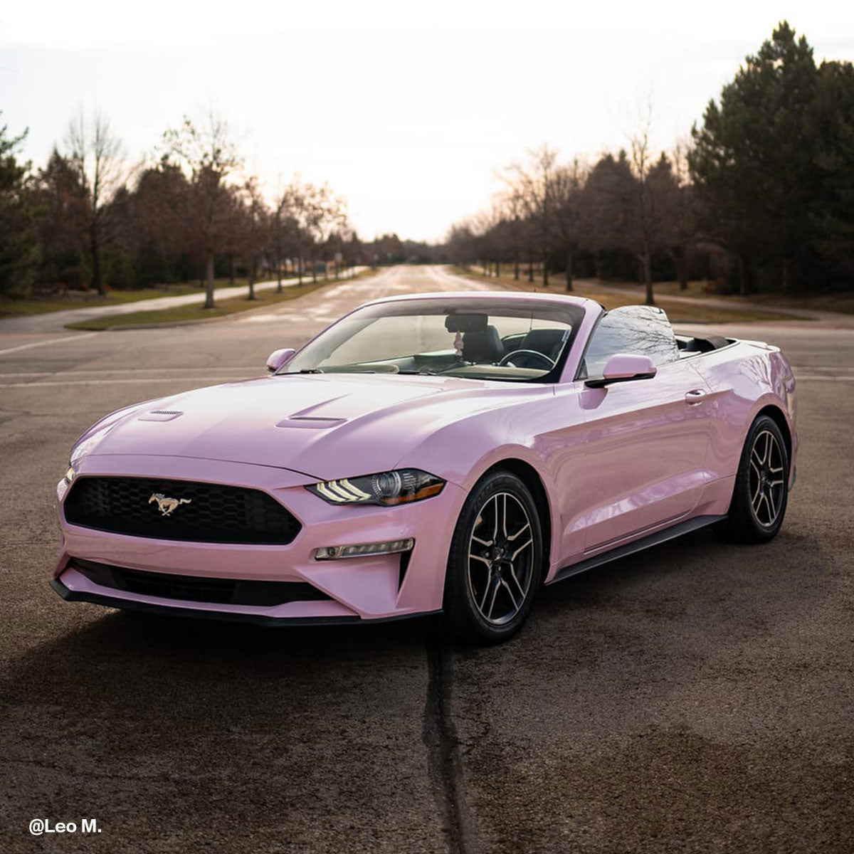 Ford Mustang Convertible wrapped in High Glossy Baby Pink vinyl wrap.