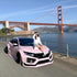 High Glossy Baby Pink Vinyl Wrap